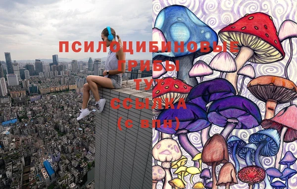 мяу мяу мука Аркадак