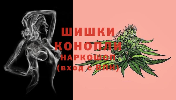 мяу мяу мука Аркадак